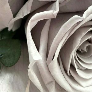 Meet your Posher, Eden